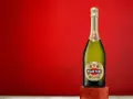 Butelka Martini Prosecco na tle czerwieni. Idealne na toast lub do drinków.