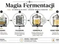 Ilustracja pokazuje, jak powstaje alkohol: od zacierania słodu, przez chłodzenie, fermentację z udziałem drożdży, aż do uzyskania gotowego "wash".