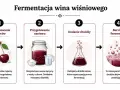 Jak zrobić wino wiśniowe: mycie i rozgniatanie owoców, dodanie wody i cukru, dodanie drożdży, burzliwa fermentacja.