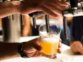 Ręka nalewa piwo do szklanki. To dzięki drożdżom, które fermentują cukry, powstaje ten złocisty napój.