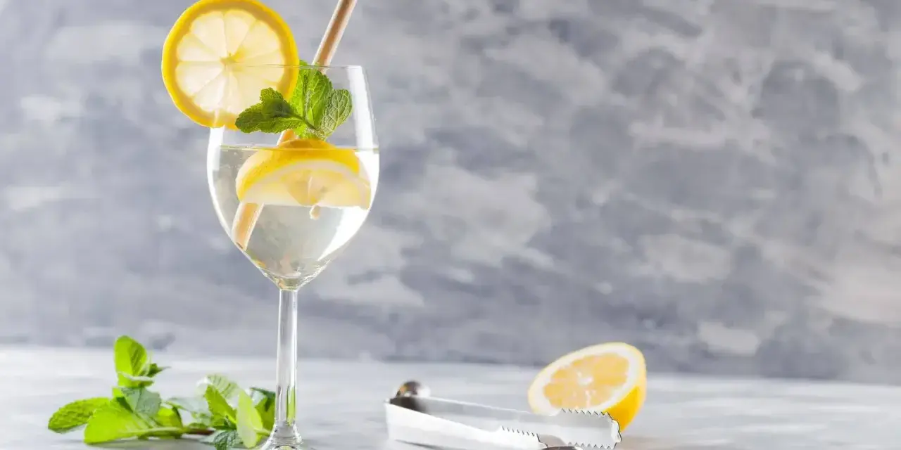 Orzeźwiające prosecco z tonikiem, ozdobione plasterkami cytryny i listkami mięty, z dodatkiem słomki.
