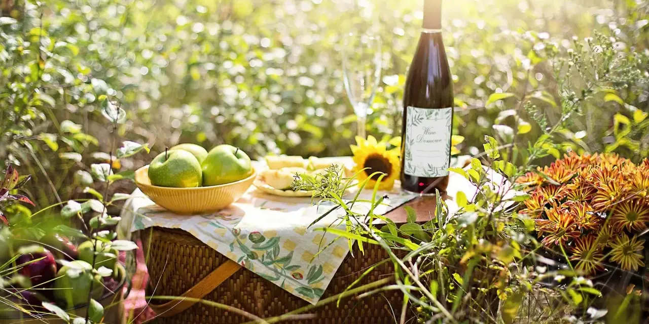 Piknik z jabłkami i winem domowym. Idealne składniki, by dowiedzieć się, jak zrobić wino z jabłek.