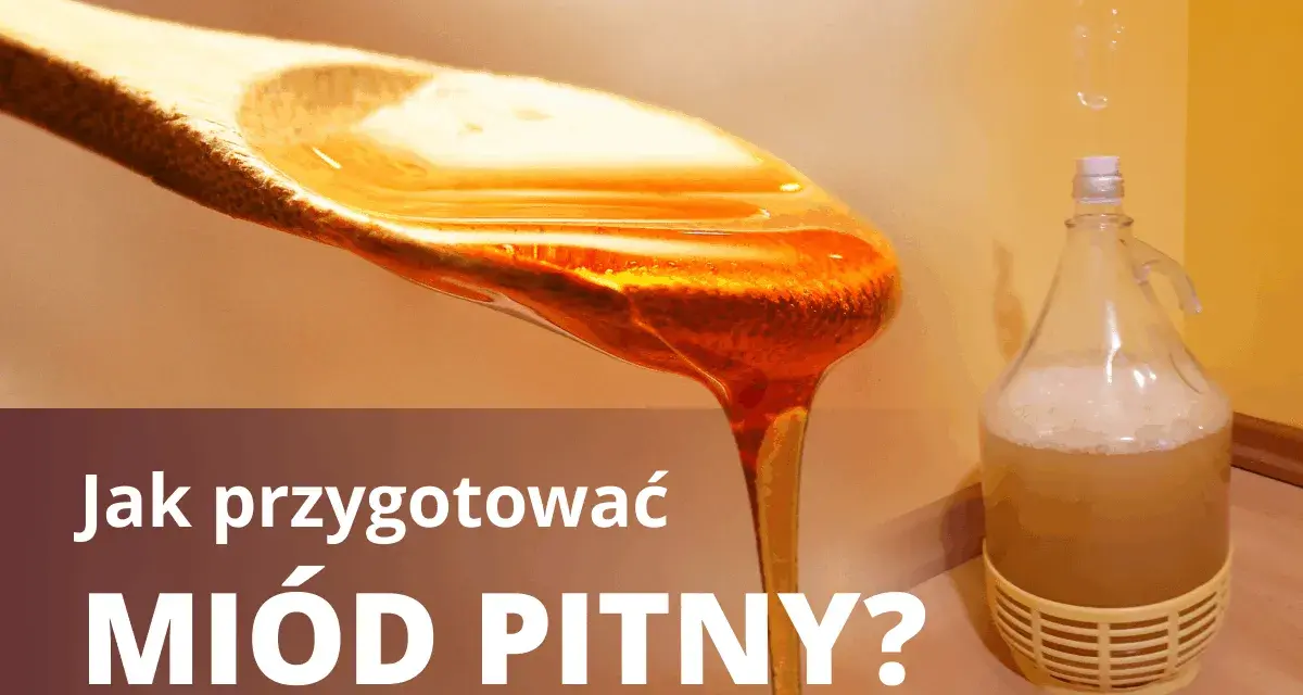 Jak przygotować miód pitny? Złocisty miód spływa z łyżki, obok fermentuje w balonie.