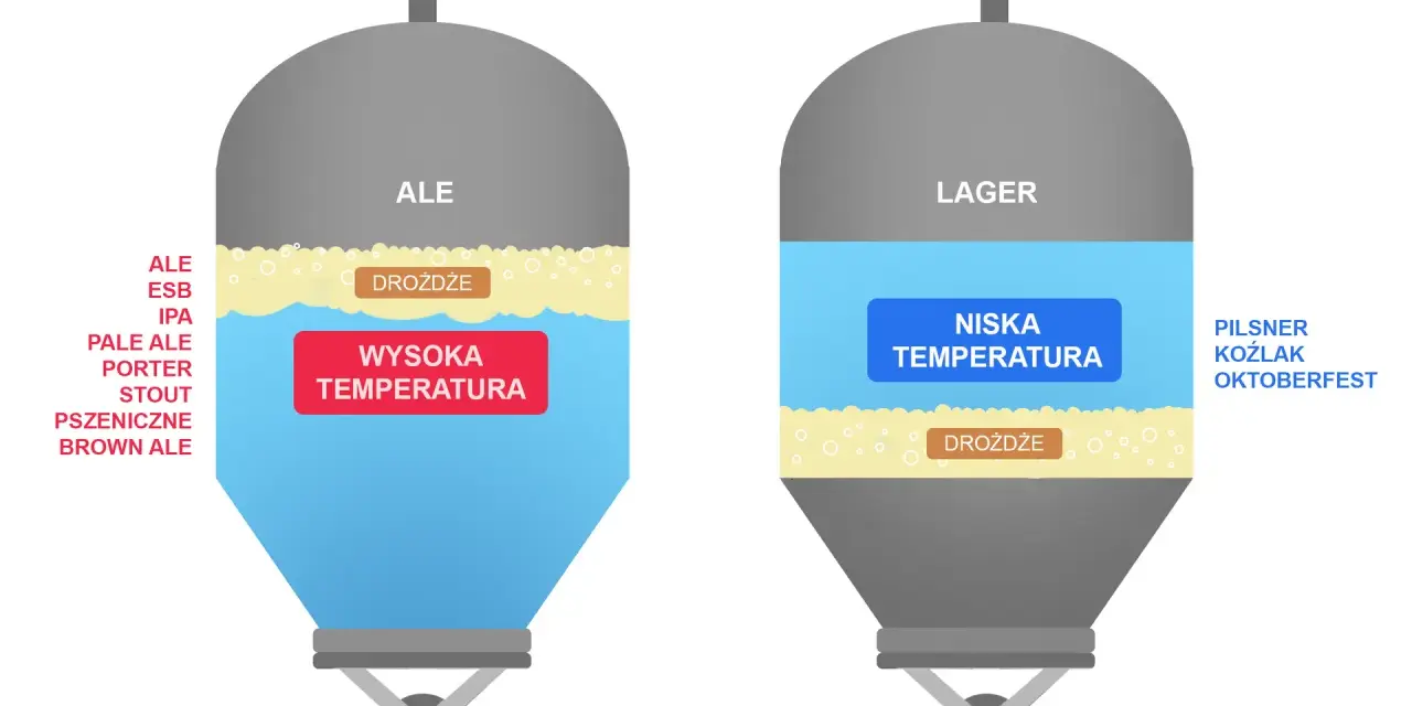 Ilustracja porównuje fermentację drożdży z cukrem w piwach typu Ale (wysoka temperatura) i Lager (niska temperatura).