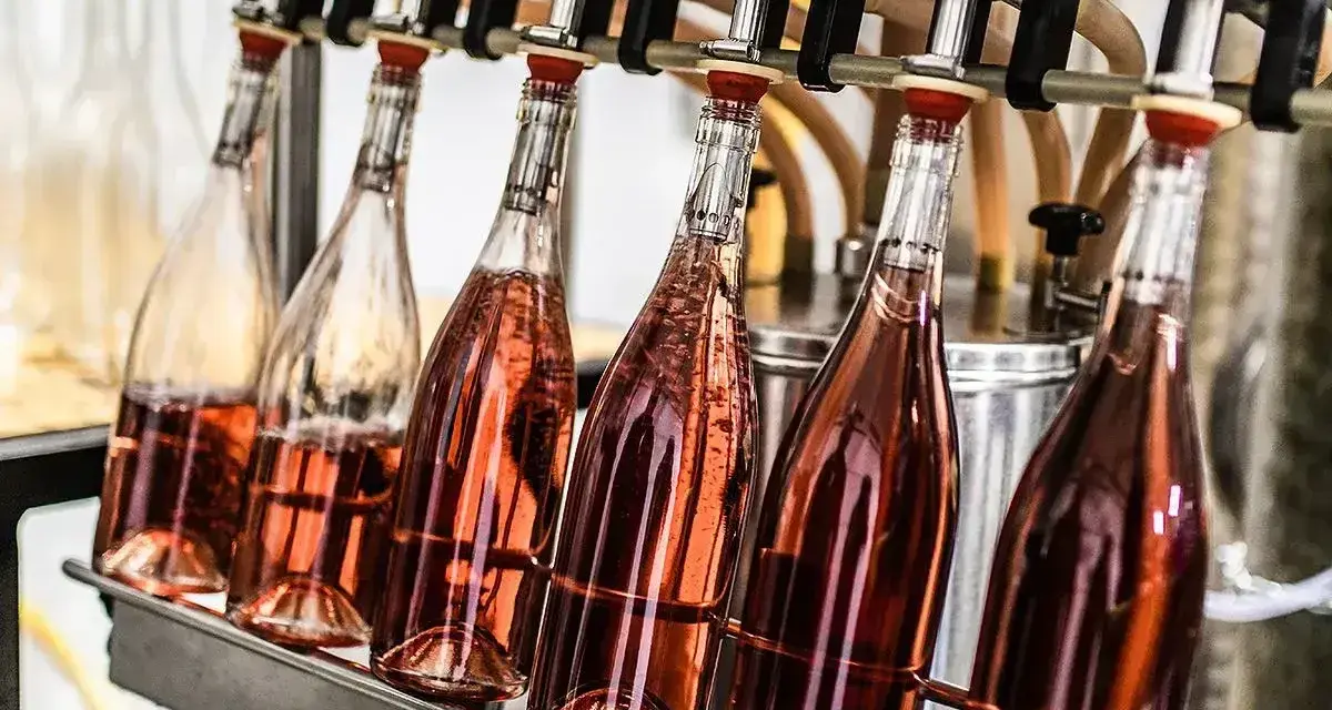 Rzędy butelek z różowym winem czekają na cichą fermentację wina.