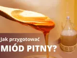 Jak przygotować miód pitny? Złocisty miód spływa z łyżki, obok fermentuje w balonie.