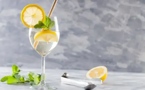 Orzeźwiające prosecco z tonikiem, ozdobione plasterkami cytryny i listkami mięty, z dodatkiem słomki.