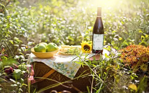 Piknik z jabłkami i winem domowym. Idealne składniki, by dowiedzieć się, jak zrobić wino z jabłek.