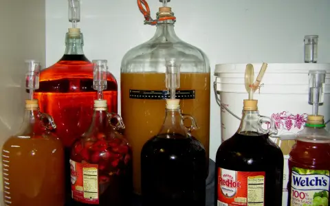 Wiele balonów i butelek z płynami, w tym czerwonym winem i zawartością truskawek, przygotowanych do produkcji najmocniejszego wina domowego.