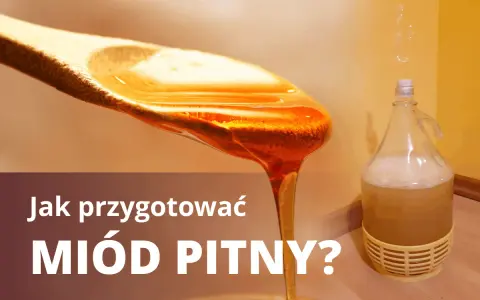 Jak przygotować miód pitny? Złocisty miód spływa z łyżki, obok fermentuje w balonie.