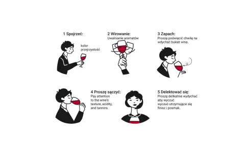 Jakie to wino? Poznaj Cabernet Sauvignon: spojrzeć, wirować, wąchać, sączyć i delektować się.