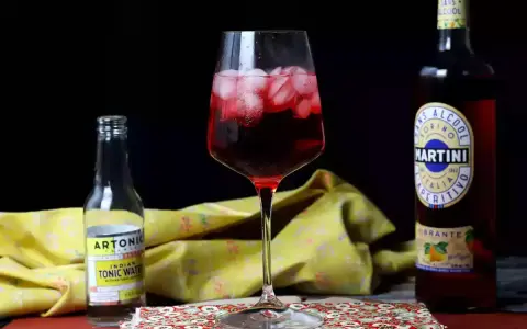 Orzeźwiający martini tonic drink z lodem, obok butelka toniku i Martini Vibrante.