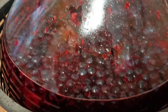 Fermentujące owoce w balonie, gotowe na wino wieloowocowe. Przepis na domowy trunek.