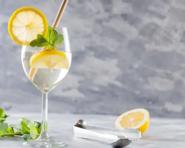 Orzeźwiające prosecco z tonikiem, ozdobione plasterkami cytryny i listkami mięty, z dodatkiem słomki.