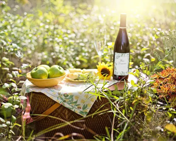 Piknik z jabłkami i winem domowym. Idealne składniki, by dowiedzieć się, jak zrobić wino z jabłek.
