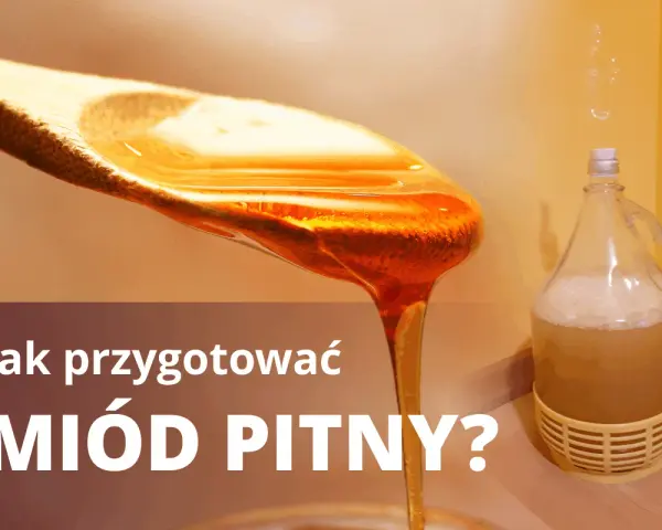 Jak przygotować miód pitny? Złocisty miód spływa z łyżki, obok fermentuje w balonie.