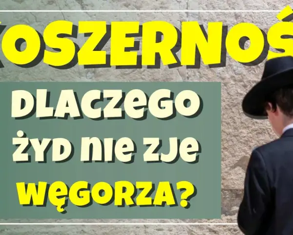 Koszerne wino koszerne co to znaczy? Dlaczego Żyd nie zje węgorza? Mężczyzna w czarnym kapeluszu na tle kamiennej ściany.