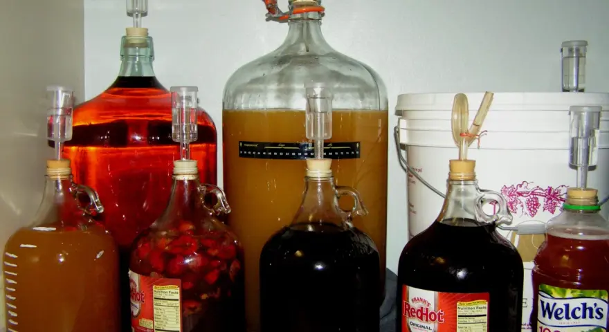 Wiele balonów i butelek z płynami, w tym czerwonym winem i zawartością truskawek, przygotowanych do produkcji najmocniejszego wina domowego.