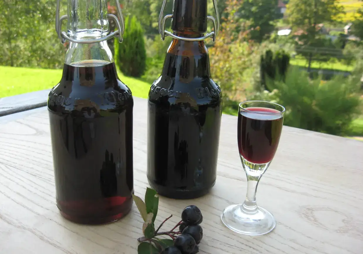 Dwie butelki i kieliszek pełne ciemnego, aromatycznego nalewki z aronii, z gałązką owoc&oacute;w na pierwszym planie.
