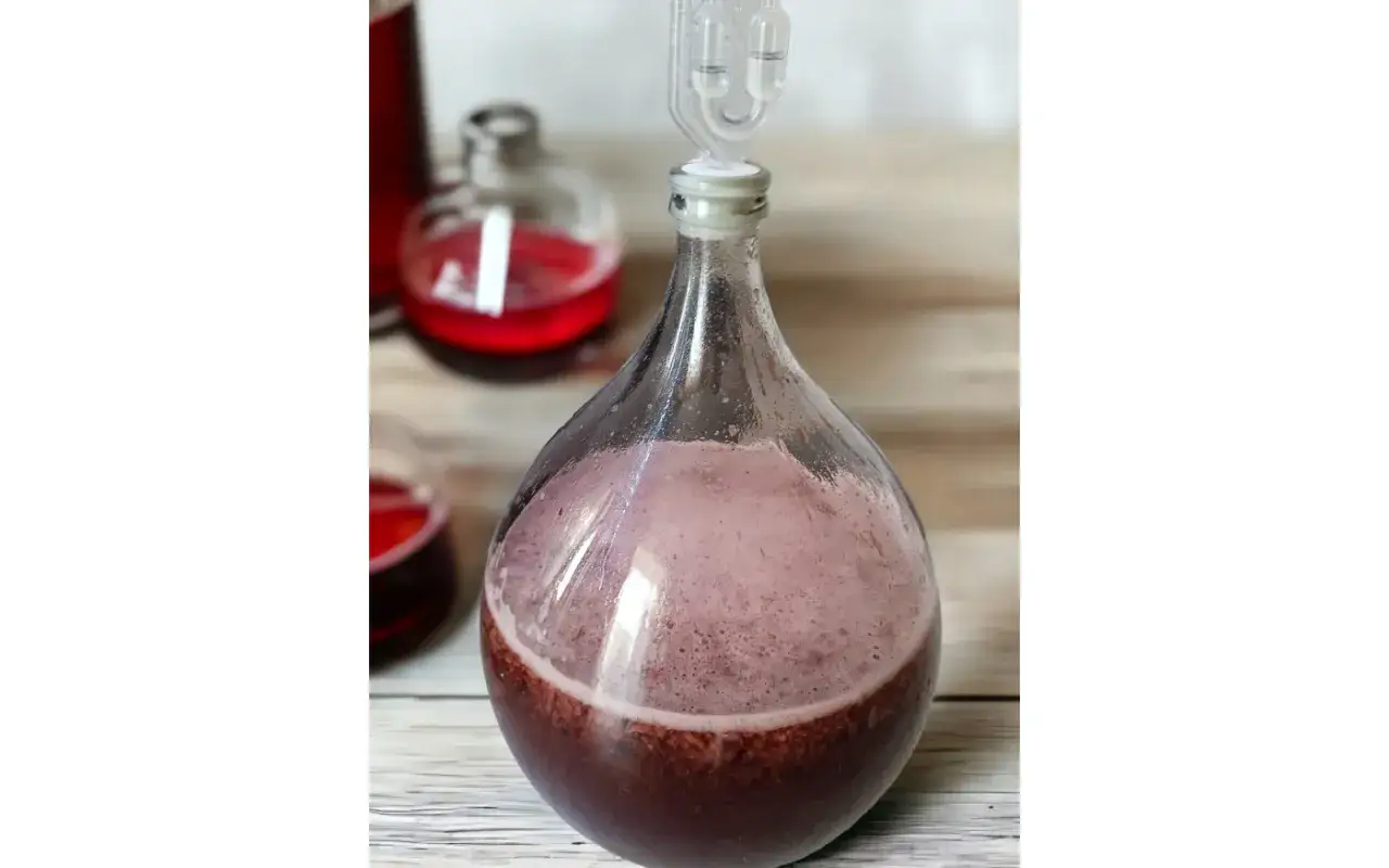 Fermentacja wina z ryżu w balonie 25l. Piana na powierzchni świadczy o udanym procesie.
