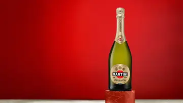 Butelka Martini Prosecco na tle czerwieni. Idealne na toast lub do drinków.