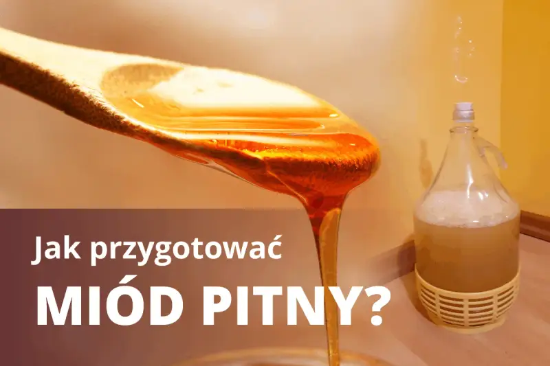 Jak przygotować miód pitny? Złocisty miód spływa z łyżki, obok fermentuje w balonie.